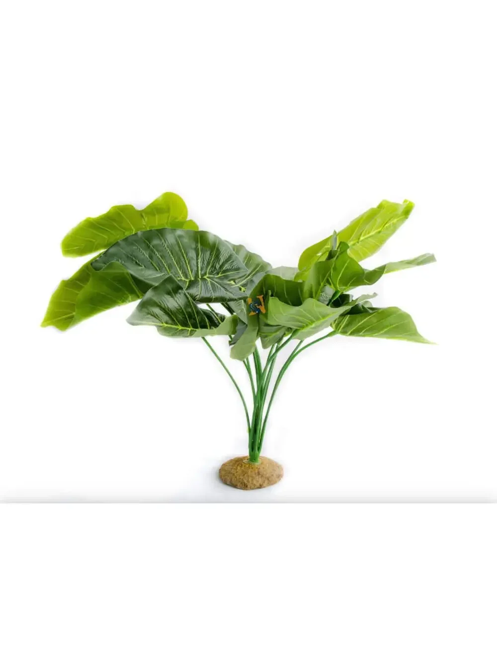 (RGB4) Aquaglobe 19in Coio Casia Silk Aquarium Plant Freshwater Saltwater Tank